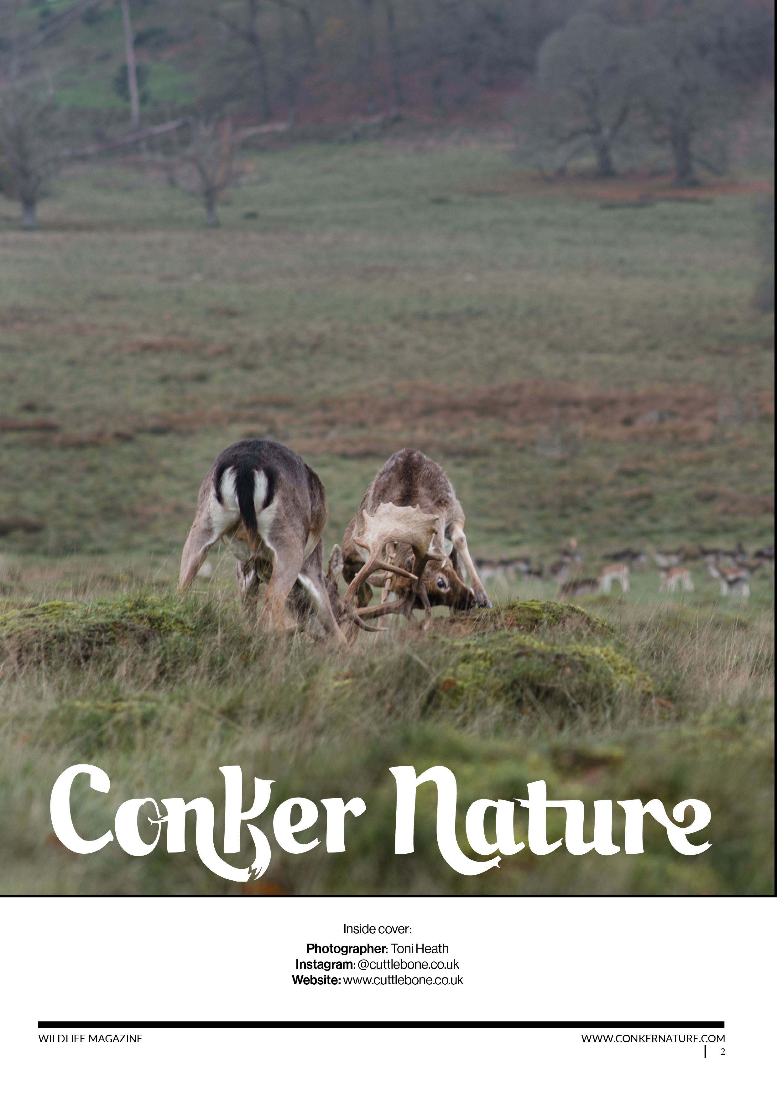 Conker Nature The Autumn Wildlife Issue2.png